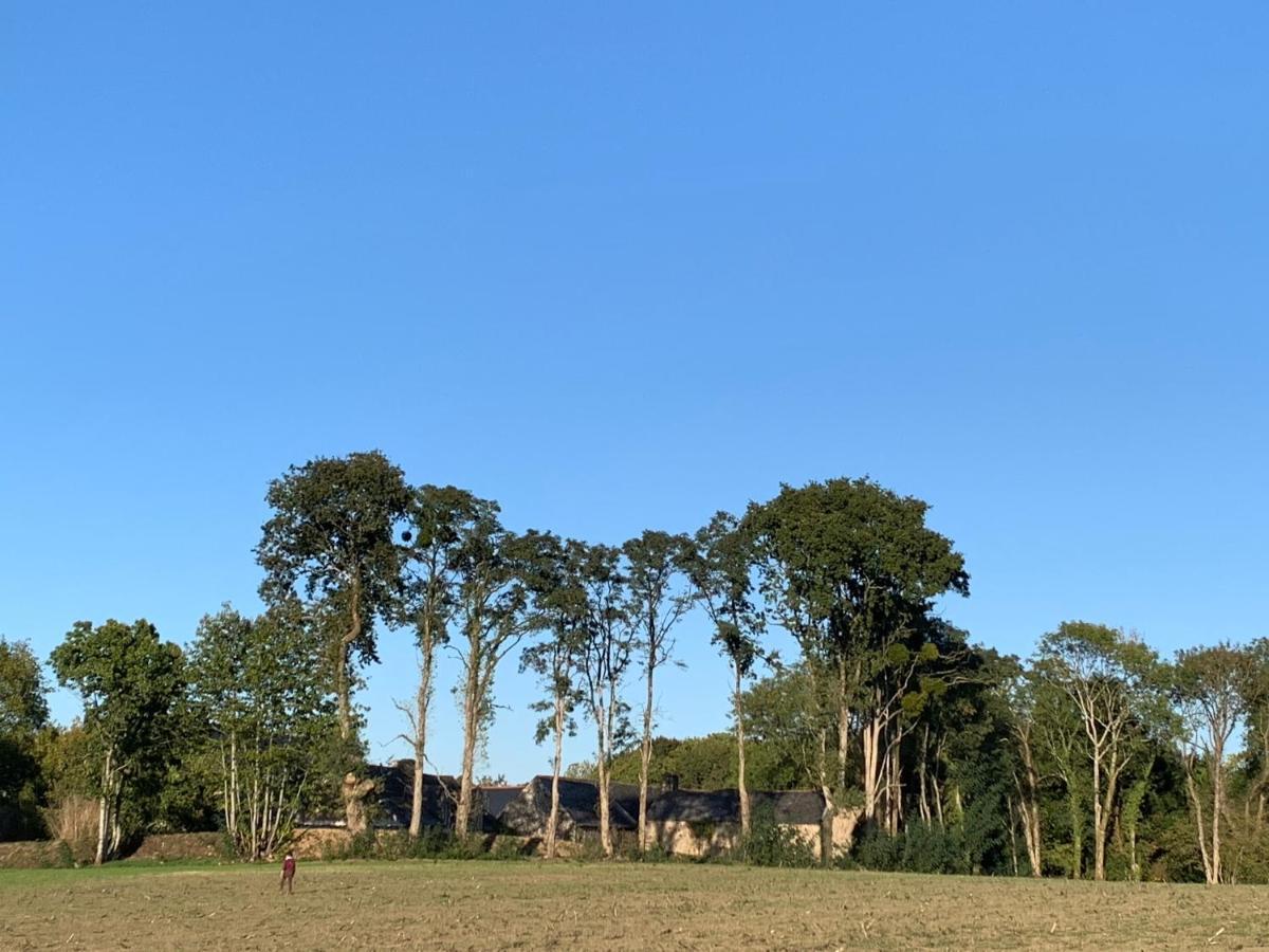 Jolie Metairie D'Une Seigneurie Bretonne. Peaule Exteriör bild
